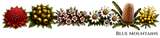 Flowers - Nature Hoodie