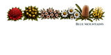 Flowers - Nature Tee